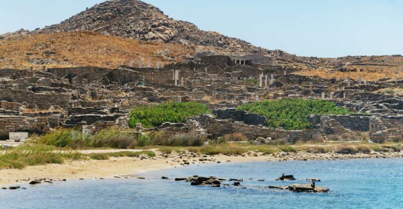 Mykonos Town: Archaeological Site of Delos Guided Day Trip - Reviews and Real Traveler Insights