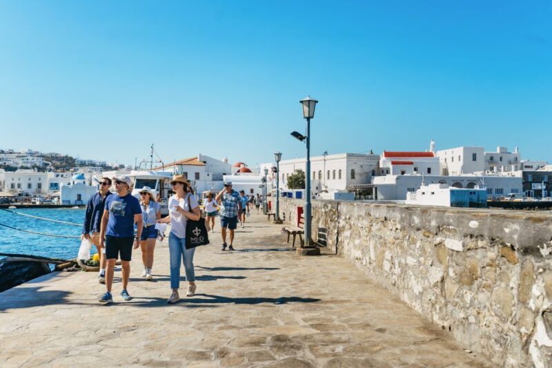Mykonos Town: Archaeological Site of Delos Guided Day Trip - Who Will Love This Tour?