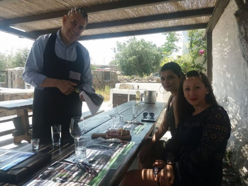 Mykonos: Wine Tasting at a Mykonian Farm - An In-Depth Look at the Experience