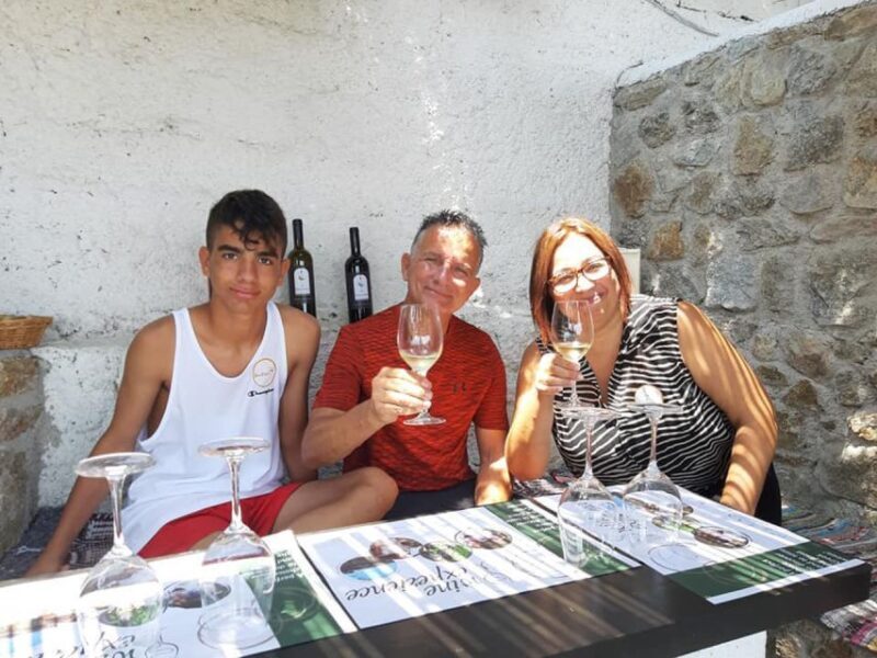 Mykonos: Wine Tasting at a Mykonian Farm - Final Thoughts