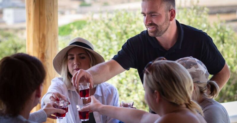 Mykonos: Winery Vineyard Experience with Food & Wine Tasting - Who Will Love This Experience?