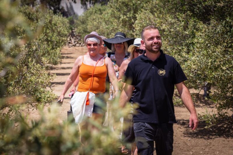 Mykonos: Winery Vineyard Experience with Food & Wine Tasting - The Sum Up