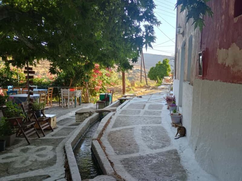 Myli: Beekeeping Secrets Guided Tour with Traditional Meze - Who Should Consider This Tour?