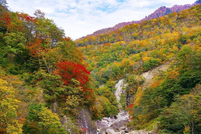 Myoko and Madarao Day Tour Snow Monkeys, Zenkoji and Sake - Frequently Asked Questions