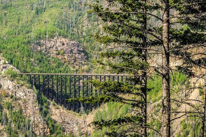 Myra Canyon Guided E-Bike Tour - Past Reviews and Authentic Insights