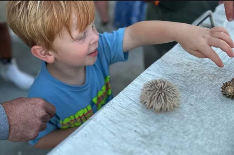 Myrtle Beach: Dolphin & Sealife Cruise, Great For All Ages! - Final Thoughts