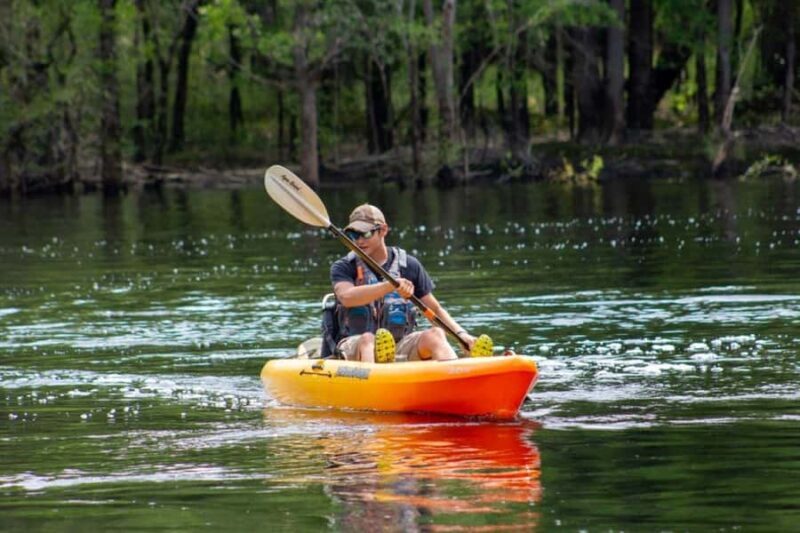 Myrtle Beach: Waccamaw River Kayak Island Tour - Key Points: