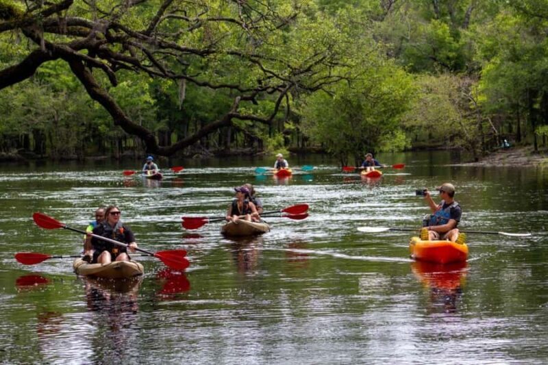 Myrtle Beach: Waccamaw River Kayak Island Tour - An honest look at the Waccamaw River Kayak Island Tour