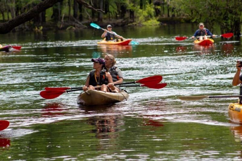Myrtle Beach: Waccamaw River Kayak Island Tour - The Sum Up