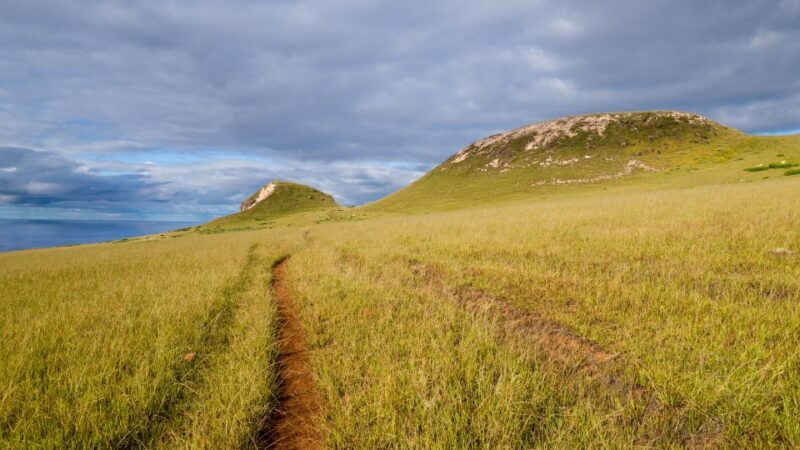 Mystery of the Poike:Walk through the most unknown Rapa Nui - The Sum Up