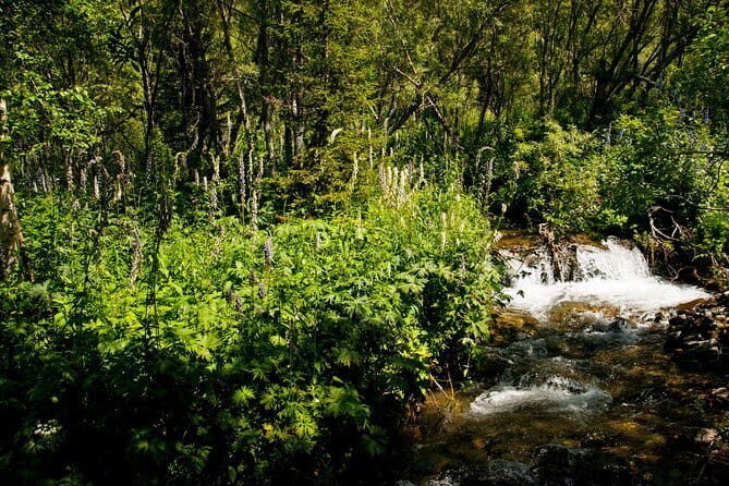 Mystical Altai and Wonders of Taiga of Eastern Kazakhstan 4 DAYS - Transportation and Group Dynamics