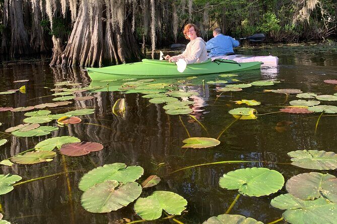 Mystical Private Kayak and Canoe Tours on Caddo Lake - Practical Tips for Your Paddle