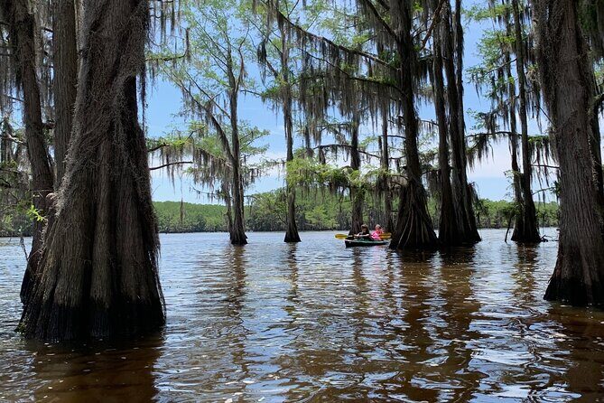 Mystical Private Kayak and Canoe Tours on Caddo Lake - Who Would Love This Tour?