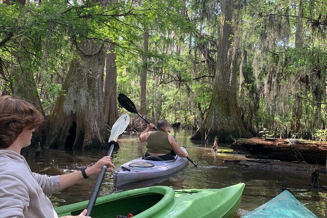 Mystical Private Kayak and Canoe Tours on Caddo Lake - FAQ
