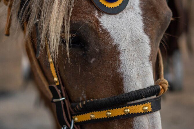 Mystical Sunset Horseback Ride in Meteora: 1-Hour Adventure - The Sum Up
