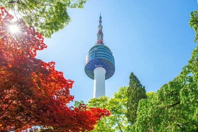 N Seoul Tower Observatory Ticket and N Burger Set - Key Points