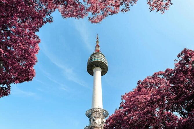 N Seoul Tower Observatory Ticket and N Burger Set - The Practicalities: What to Expect