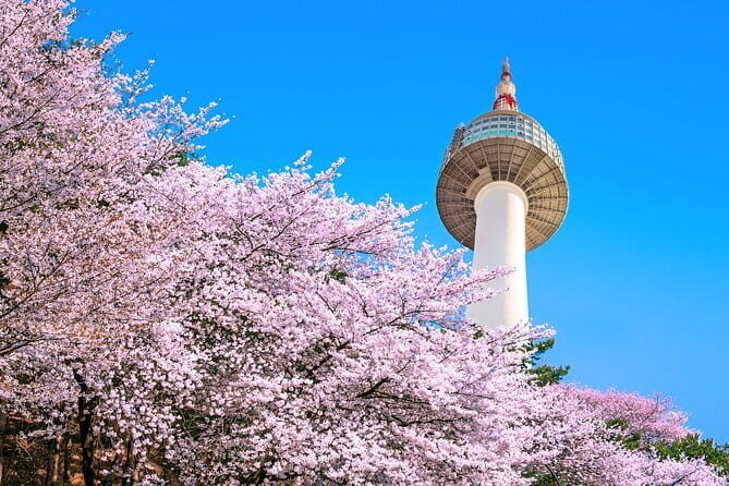 N Seoul Tower Observatory Ticket South Korea - N Seoul Tower Observatory Ticket South Korea: A Complete Review
