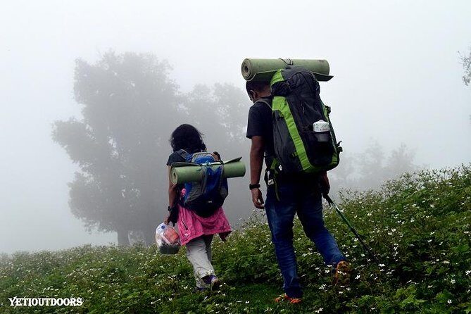 Naag Tibba Trek - An In-Depth Look at the Naag Tibba Trek Experience