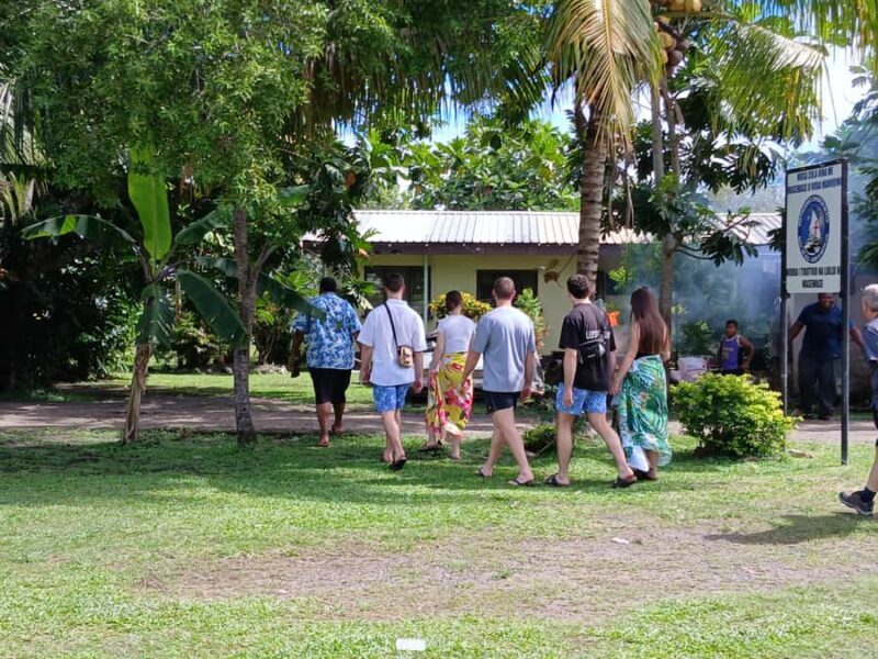 Nadi: Fijian Village Tour with Tifajek Mudpool and Hotspring - Making the Most of Your Visit