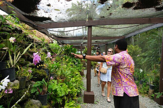 Nadi Heritage Tour - Authentic Experiences and Review Highlights