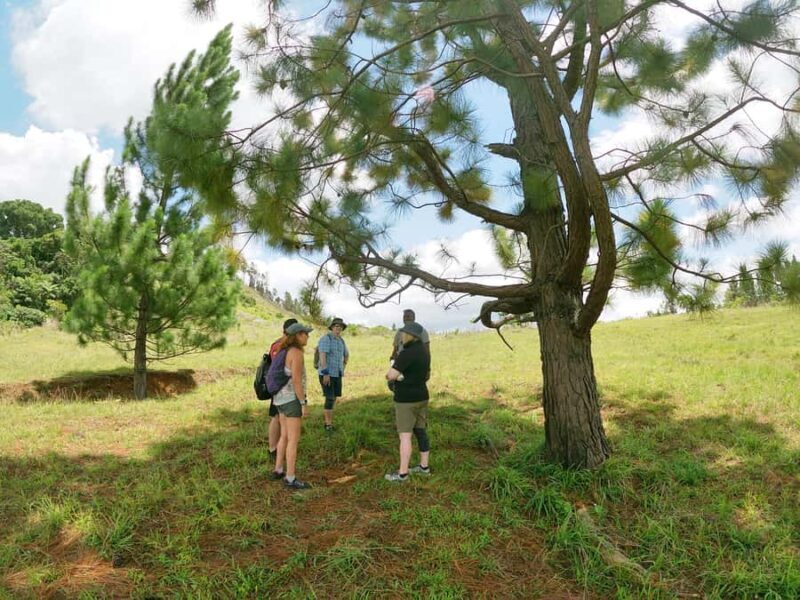 Nadi: Hidden Peaks Small Group Hiking Adventure - Price and Value Analysis