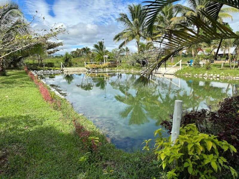 Nadi: Mud Pool and Hot Spring Private Tour - How Does the Price Reflect the Experience?