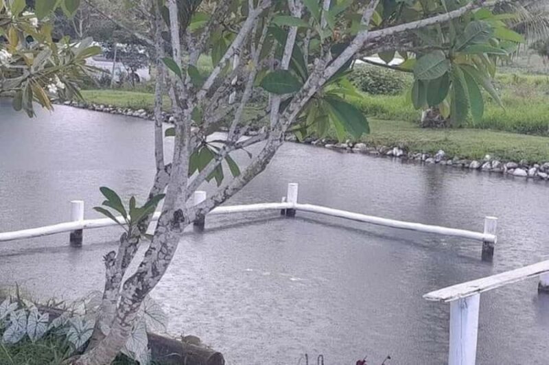 Nadi: Mud Pool and Hot Spring Private Tour - Who Should Consider This Tour?