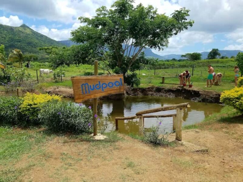 Nadi: Mud Pool and Hot Spring Private Tour - The Sum Up