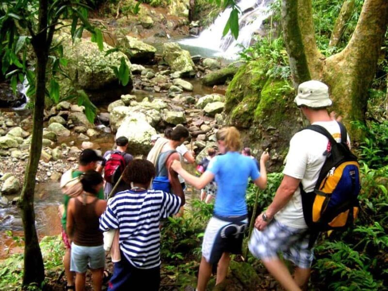 NADI: Nalesutale Village Half Day Tour - Key Points