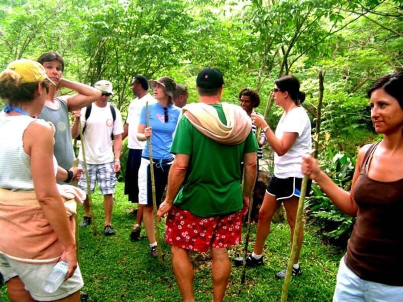 NADI: Nalesutale Village Half Day Tour - Summary: Why This Tour Offers Genuine Value