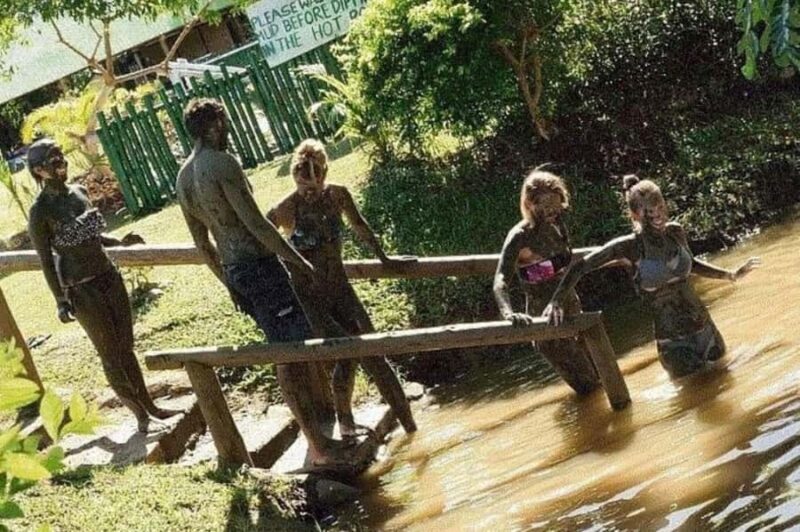 Nadi: Private Tour with Temple, Garden, Markets & Mud Pools - Key Points