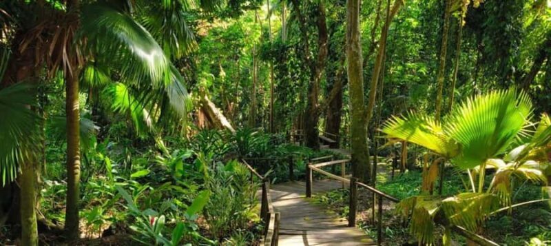 NADI-SABETO: Exquisite Orchid Garden with Hotspring Mudpool - Introduction: Why the Nadi-Sabeto Experience Matters