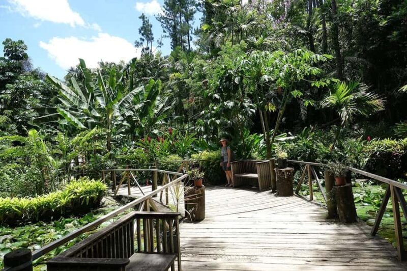 NADI-SABETO: Exquisite Orchid Garden with Hotspring Mudpool - What Travelers Are Saying