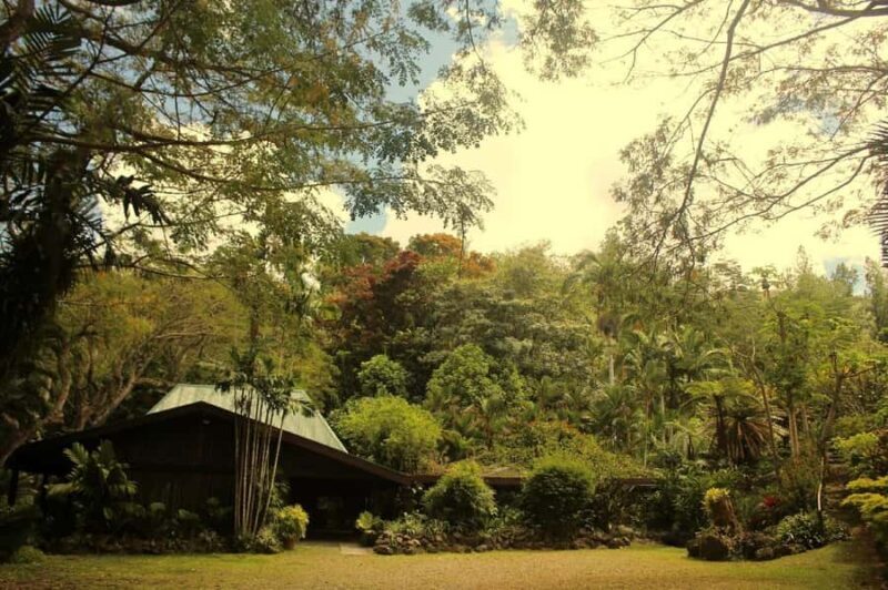 NADI-SABETO: Exquisite Orchid Garden with Hotspring Mudpool - Who Will Enjoy This Tour?