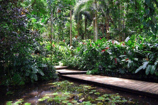 Nadi Sightseeing Including Viseisei Lookout, Village Tour, Garden & Temple Tour - Transportation, Group Size, and Practical Tips