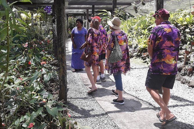 Nadi Sightseeing & Mud Pool Tour - What Does the Tour Cover?