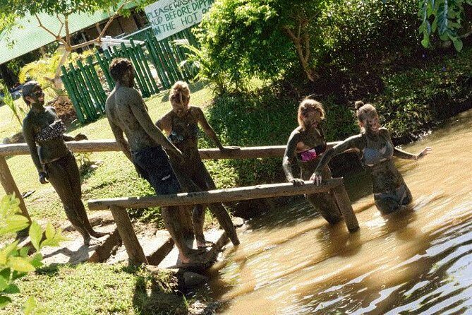 Nadi Therapeutic Mud Pools and Garden Tour - Shore Excursions EX PORT DENARAU - Introduction: What to Expect from the Nadi Therapeutic Mud Pools and Garden Tour
