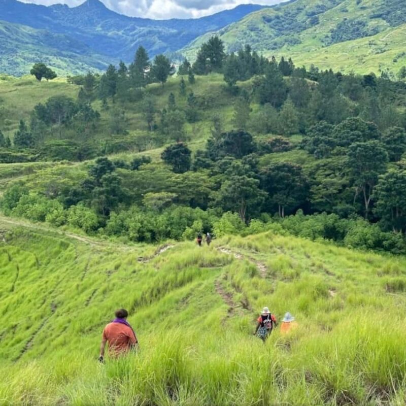 Nadi: Waterfall Tour Adventure with Refreshments and Lunch - The Value of the Experience
