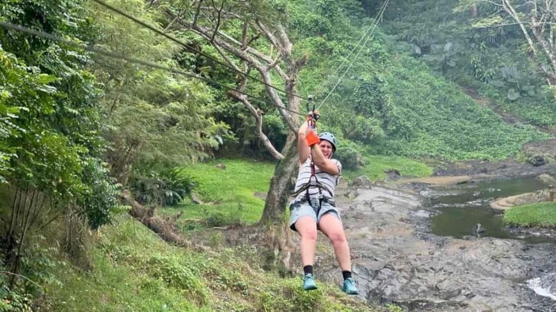 Nadi: Zipline, Waterfalls, and Jungle Safari Tour with Lunch - Key Points