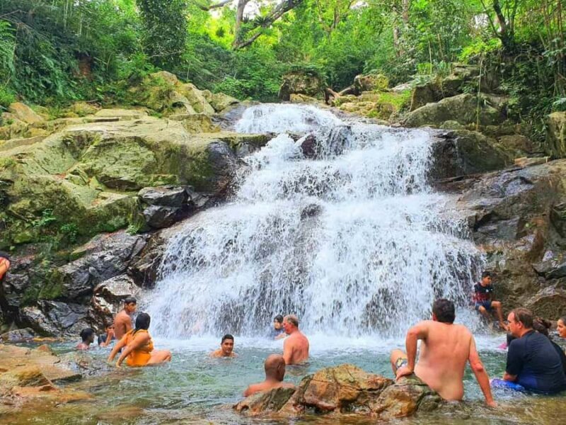 Nadi: Zipline, Waterfalls, and Jungle Safari Tour with Lunch - The Value Proposition