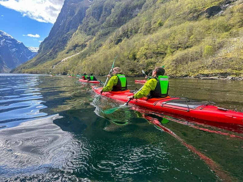 Nærøyfjord Full-Day Guided Kayaking Trip - What to Expect in Terms of Equipment and Comfort