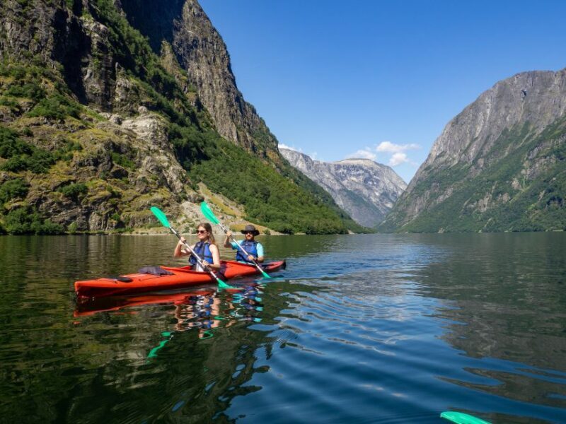 Nærøyfjord Full-Day Guided Kayaking Trip - Pricing and Value