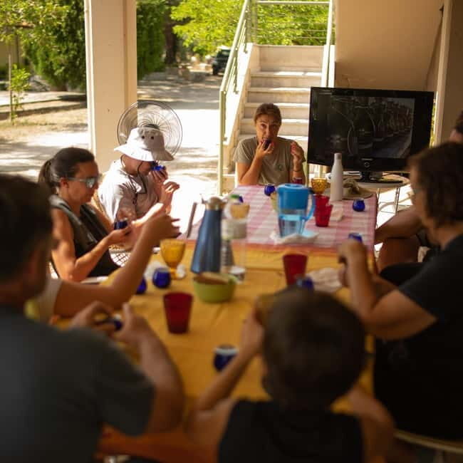 Nafplio: Olive Oil Estate Tour and Tasting - Who Will Love This Tour?