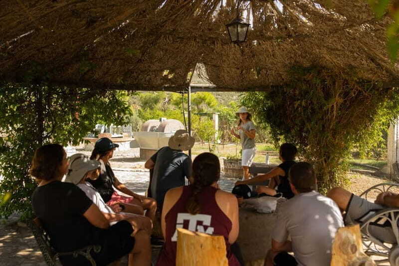 Nafplio: Olive Oil Estate Tour and Tasting - The Sum Up