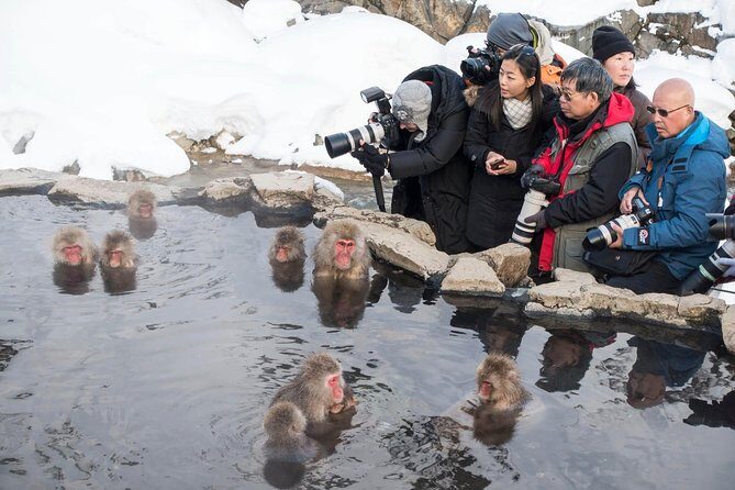 Nagano Private Two Day Tour - The Sum Up