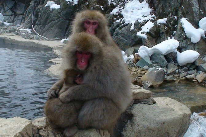 Nagano Ski Buffet - An In-Depth Look at the Nagano Ski Buffet Experience