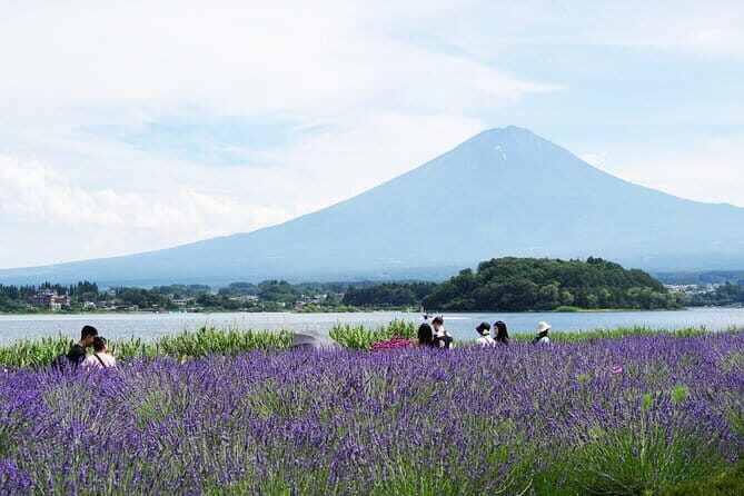 Nagano Zenkoji Temple and Sake Tasting Private Tour from Tokyo - Final Thoughts
