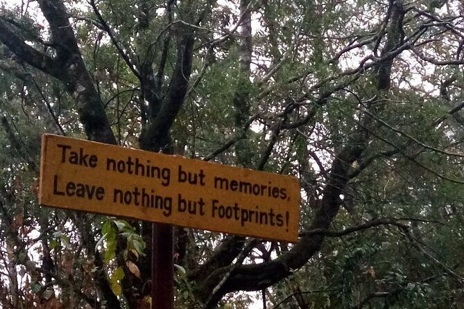 Nagarjun Hill View point Hike Tour - The Views & Photo Opportunities