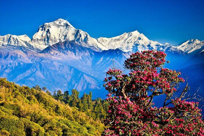 Nagarkot Chisapani Trek - An In-Depth Look at the Nagarkot Chisapani Trek